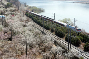 민주당 바람 분 '낙동강 벨트'…양산 홀로 국민의힘 시장 당선