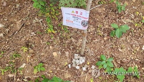 (서울=연합뉴스) 서울시는 야생동물을 통해 전파되는 광견병을 예방하기 위한 '광견병 미끼 예방약'(사진) 4만 개를 서울 둘레길과 너구리 출몰 공원을 중심으로 살포한다고 1일 밝혔다. 2025.4.1 [서울시 제공. 재판매 및 DB 금지] photo@yna.co.kr