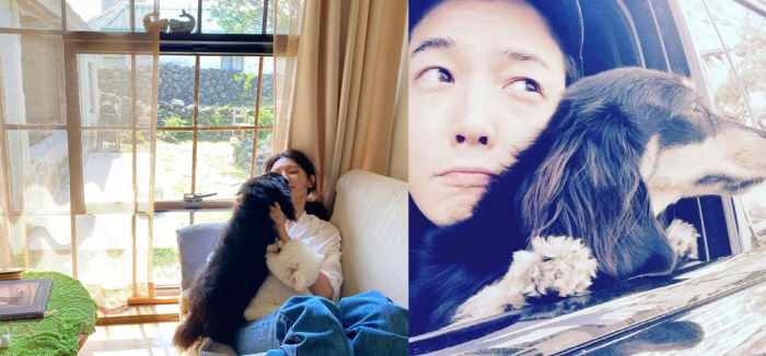정경호, '14년 열애' 최수영과 결별 인정 당일 공개한 사진..함께 키운 반려견에 애틋