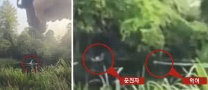 음주운전 단속에 도주, 악어 공격받아…"달아나면 야생동물이 경찰 도와"