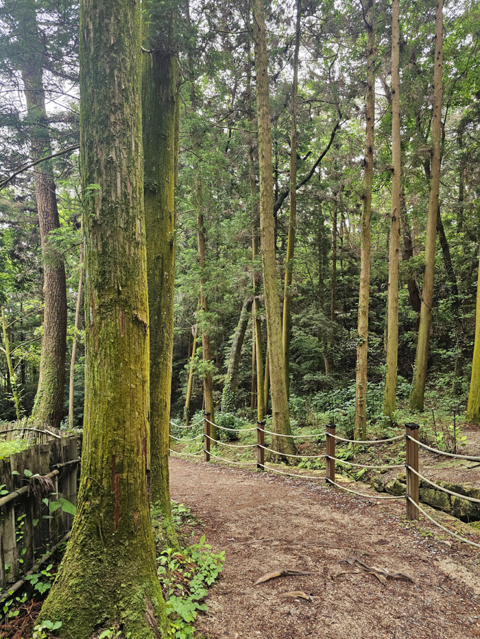 ◇The scenery around the path to Dasan Chodang still carries the traces of time. Photo=Kim Se-hyung