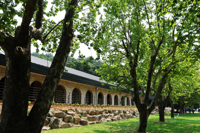 Nongsomak in northern Goesan was developed as a family-oriented rural experience facility that can also provide lodging, using the former Daehu