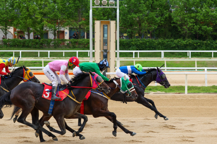 [경마] '삼관 아쉬움 털었다' 퍼니와일드, 제26회 농림축산식품부장관배(G2) 제패