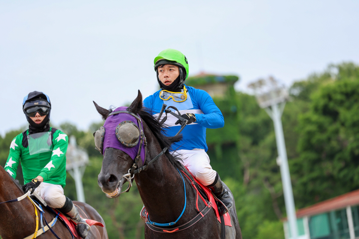 제26회 농림축산식품부장관배가 끝난 직후 퍼니와일드와 서승운기수가 하마대로 들어오고 있다. 사진제공=한국마사회