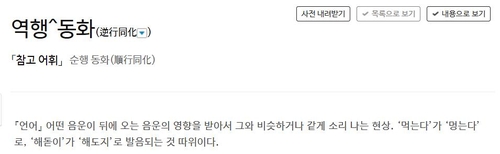 표준국어대사전 캡처