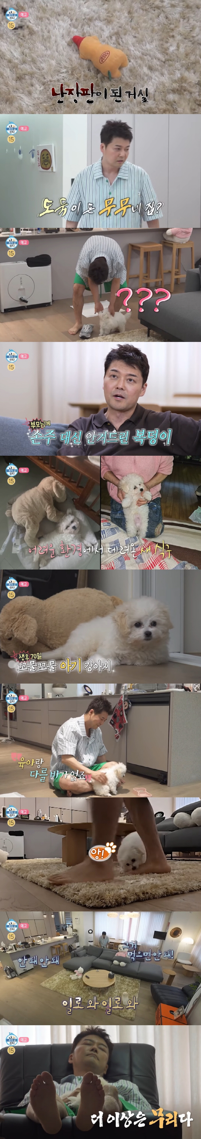 "46-Year-Old" Jun Hyun-moo Chooses Family Over Marriage: "Adopts 70-Day-Old Puppy" ('I Live Alone')