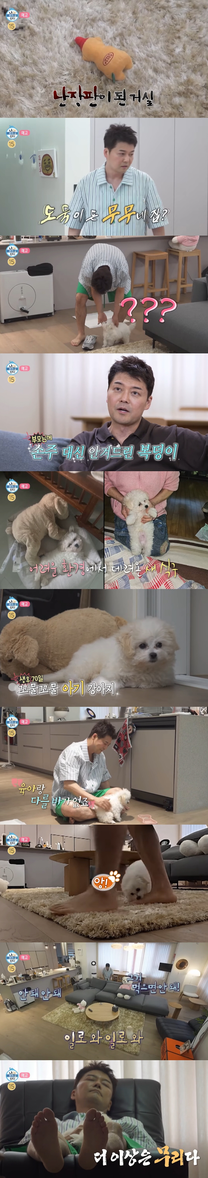 '46세' 전현무, 결혼 대신 선택한 가족…"70일된 강아지 입양" ('나혼산')
