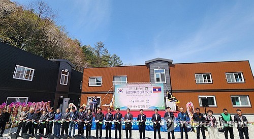 [연합뉴스 자료사진]