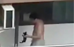 반려동물 입양한다더니, 학대·살해…"고층에서 던지기도" 경악