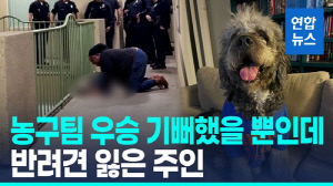 [영상] 우승 '환호'를 '비명'으로 오인?…美경찰, 반려견 사살 논란