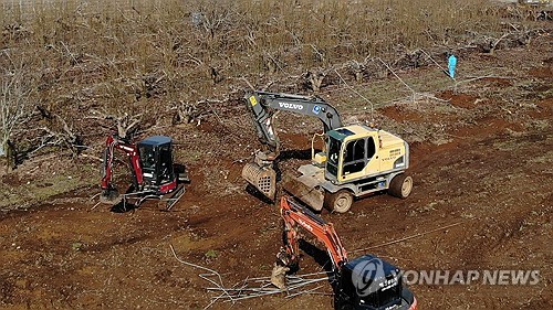 [연합뉴스 자료사진]
