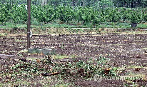 [연합뉴스 자료사진]