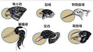 [이런말저런글] 돌부리를 차면 발부리만 아프다