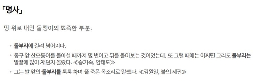 표준국어대사전 캡처