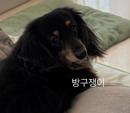 최수영은 폭풍행보, 정경호는 두문불출…14년 열애 끝, 극과극 근황