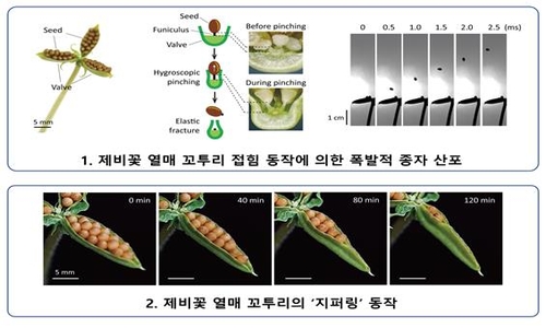[현유봉 교수 제공. 재판매 및 DB 금지]