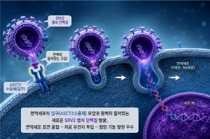 면역세포 치료제, 새로운 '열쇠 단백질'로 항암 성능↑