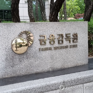 "대형 여전사·저축은행, 대표·이사회 의장 겸직 문제 여전"