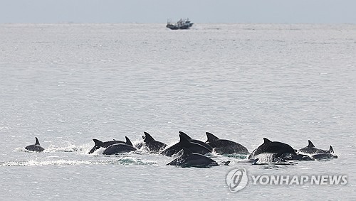 [연합뉴스 자료사진]