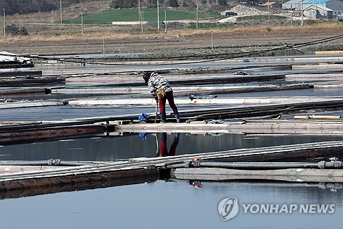 [염전노동 실태] ③ '노동자 착취' 오명 벗는다…전수조사 착수