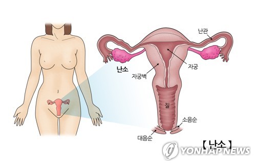 [서울아산병원 제공]