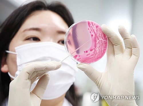 식중독 환자 절반, 여름철 집중…최근엔 7월이 가장 위험