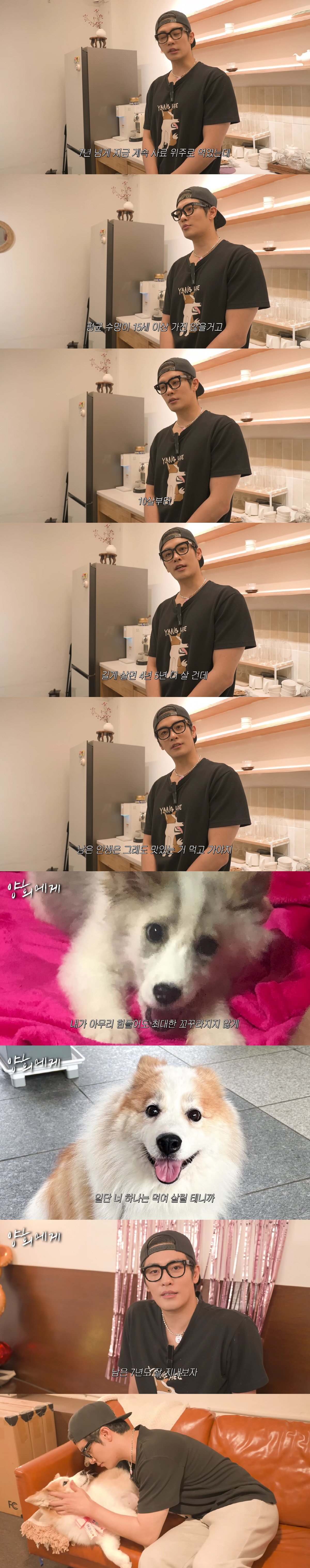 '나혼산' 떠난 성훈, 유기견 '양희' 근황 공개.."함께한지 벌써 7년, 끝까지 먹여살리겠다"(성훈해)[종합]