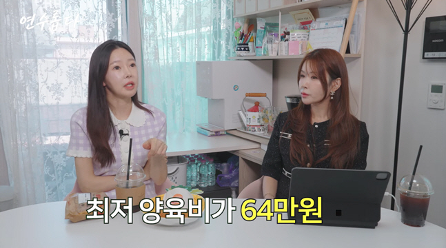 일라이 이혼 6년만 재혼 속...전처 지연수 '양육비' 현실 폭로 "85만원 턱없이 부족"