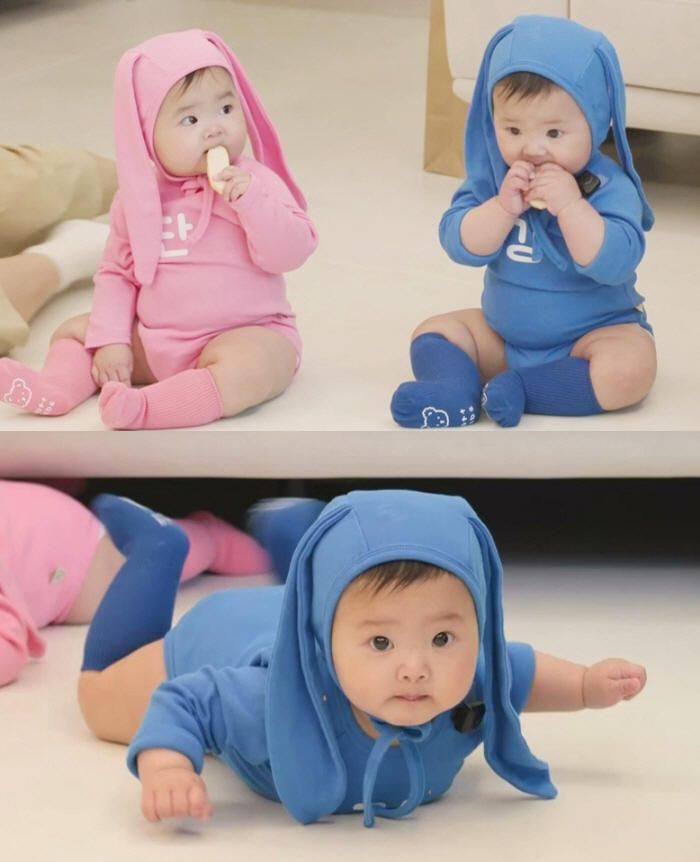 Twin toddlers appear on "The Return of Superman"... Same-age twins in bunny bodysuits spark curiosity