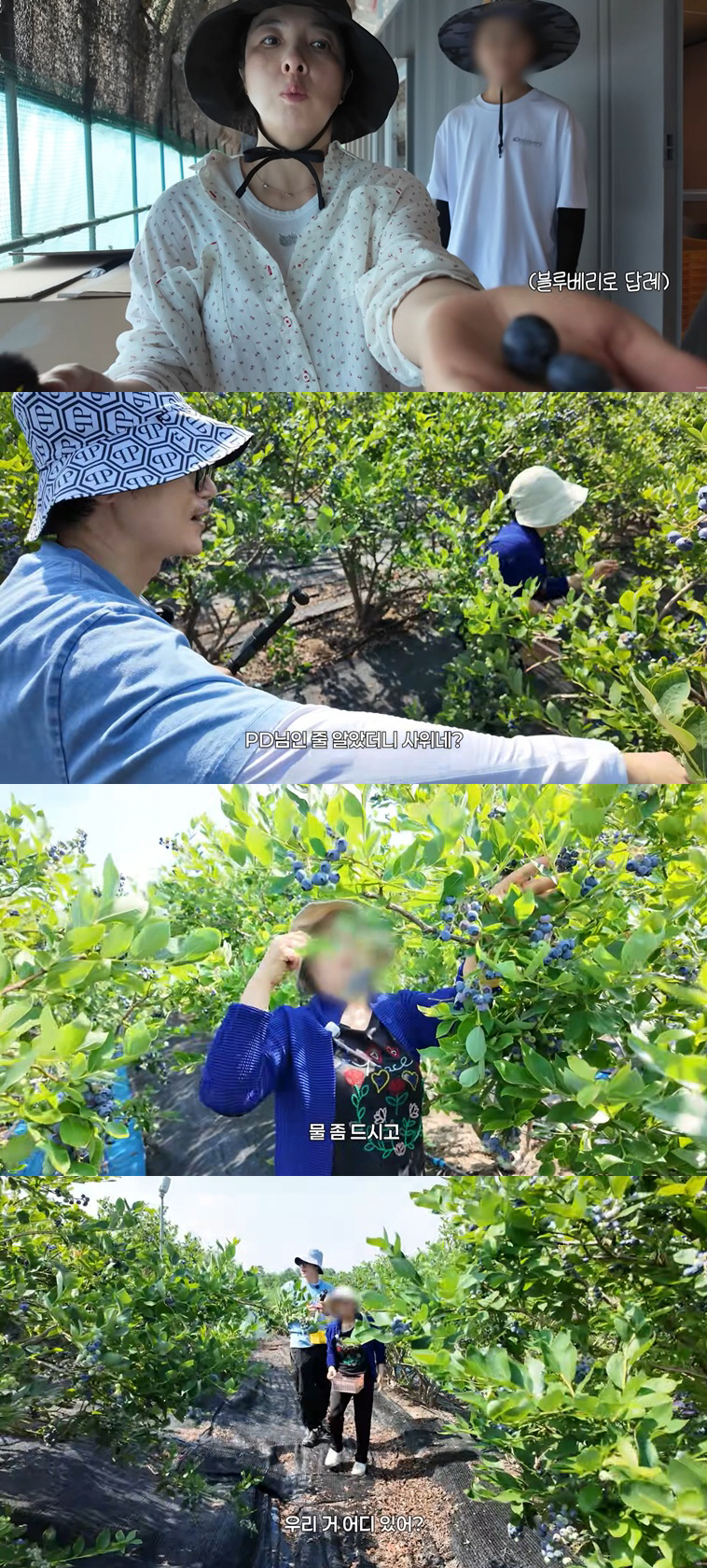 '한혜진 언니♥' 김강우, 장모 눈치보는 사위..블루베리 수확 현장 '진땀'
