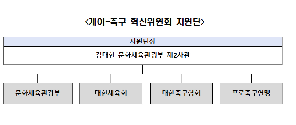 [속보]박지성-최휘영 장관 공동위원장 'K-축구 혁신위' 출범...유승민, 이영표, 박주호 참여[오피셜]