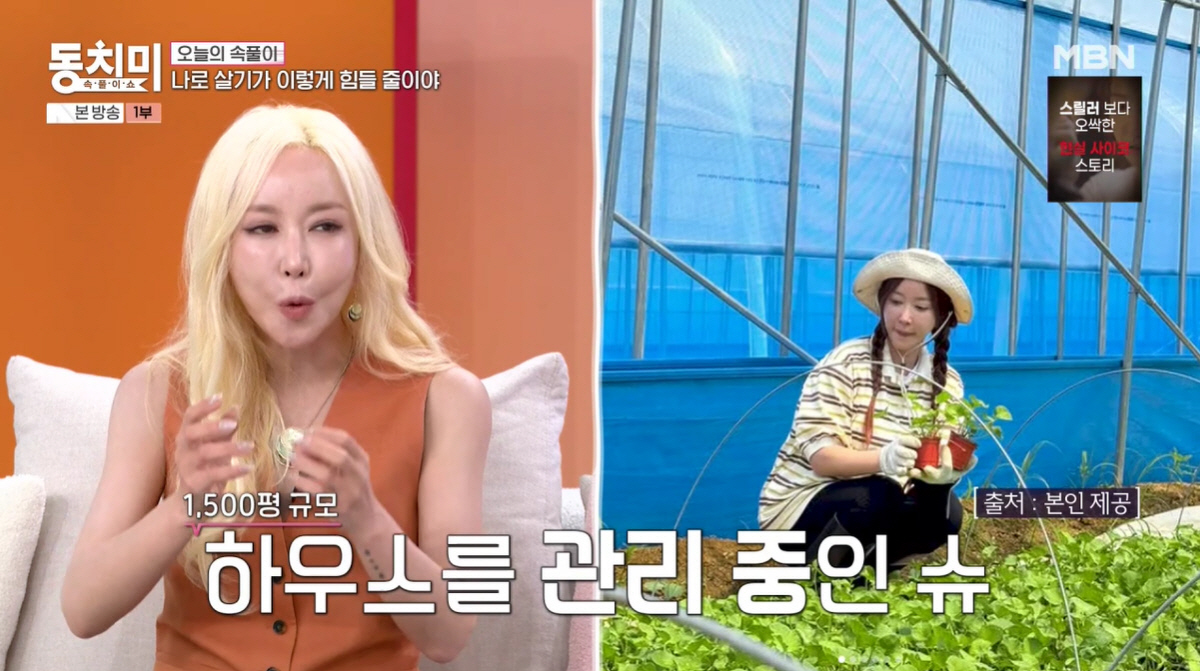 "Gambling controversy" S.E.S. Shoo says, "After having a baby, no one took care of me. I suffered from depression and insomnia" (Dongchimi)