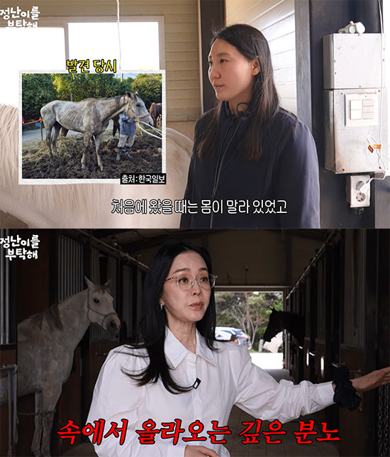 김정난, 학대받은 말 사연에 충격 "망치로 때려 죽여? 괴물들이다"