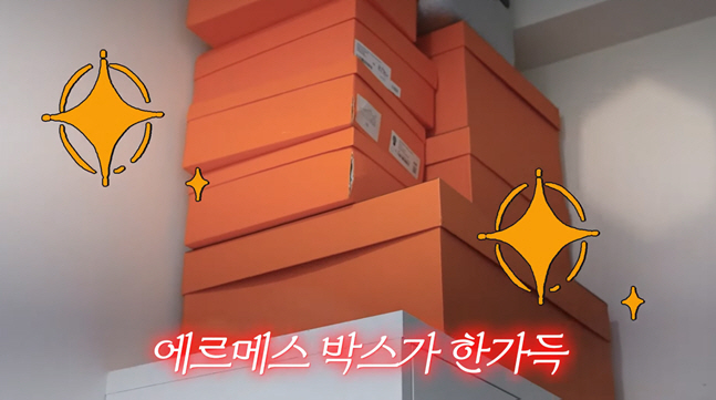 "어항만 1억"...'800억 CEO' 용산 집 가보니, 천장까지 쌓인 에르메스 박스 '충격'