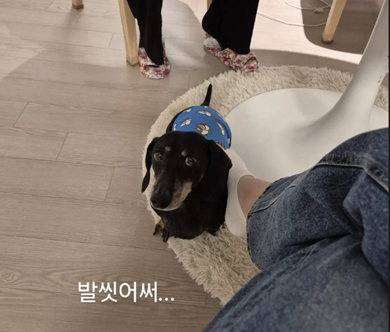 김연아, 발로 강아지 '쓰담쓰담' 화제되자 직접 해명 "발 씻었어"