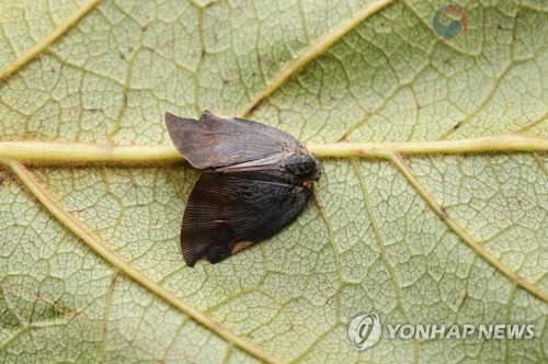 [익산시 제공. 재판매 및 DB 금지]