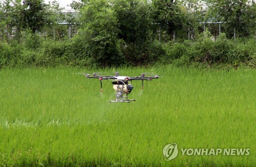 (부여=연합뉴스) 18일 충남 부여군 은산면 나령리 한 논에서 드론을 활용한 병해충 방제가 이뤄지고 있다. 이 논은 지난 14일 은산면 일대에 쏟아진 폭우로 침수 피해를 본 곳이다. 2022.8.18 sw21@yna.co.kr