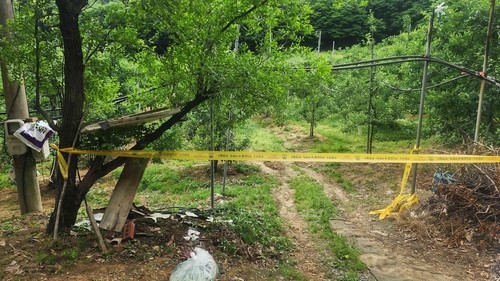 [충남도 제공. 재판매 및 DB 금지]