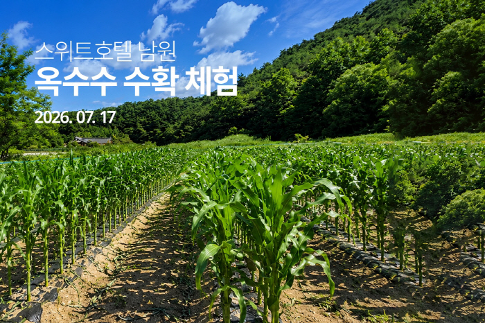 Sweet Hotel Namwon Introduces Corn Harvest Program, Plans to Expand Experiential Content
