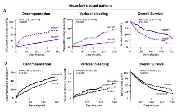 'AI Model Developed to Predict Risk Before Liver Cancer Treatment'...Expected to Enable More Sophisticated Treatment Strategies