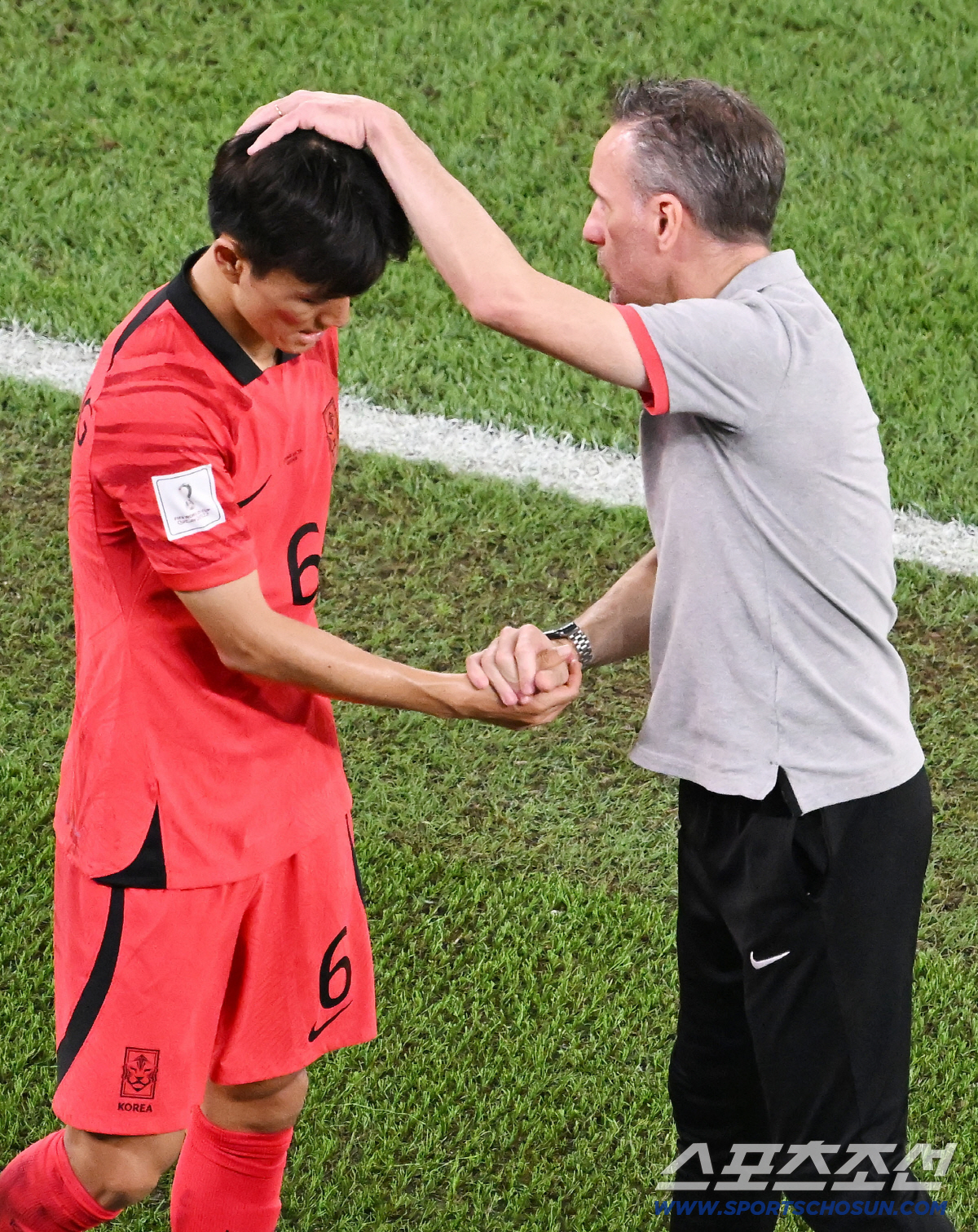 6일 오전(한국시각) 카타르 도하 스타디움974에서 대한민국과 브라질의 16강 경기가 열렸다. 교체되는 황인범과 포옹을 나누는 벤투 감독. 도하(카타르)=송정헌 기자 songs@sportschosun.com/2022.12.06/