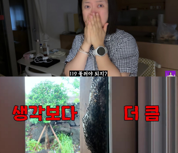 김숙, 제주家서 '초대형 벌집' 발견..결국 119 신고 "벌 1만 마리 있어"(김숙TV)