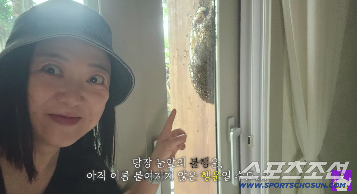 김숙, 제주家서 '초대형 벌집' 발견..결국 119 신고 "벌 1만 마리 있어"(김숙TV)