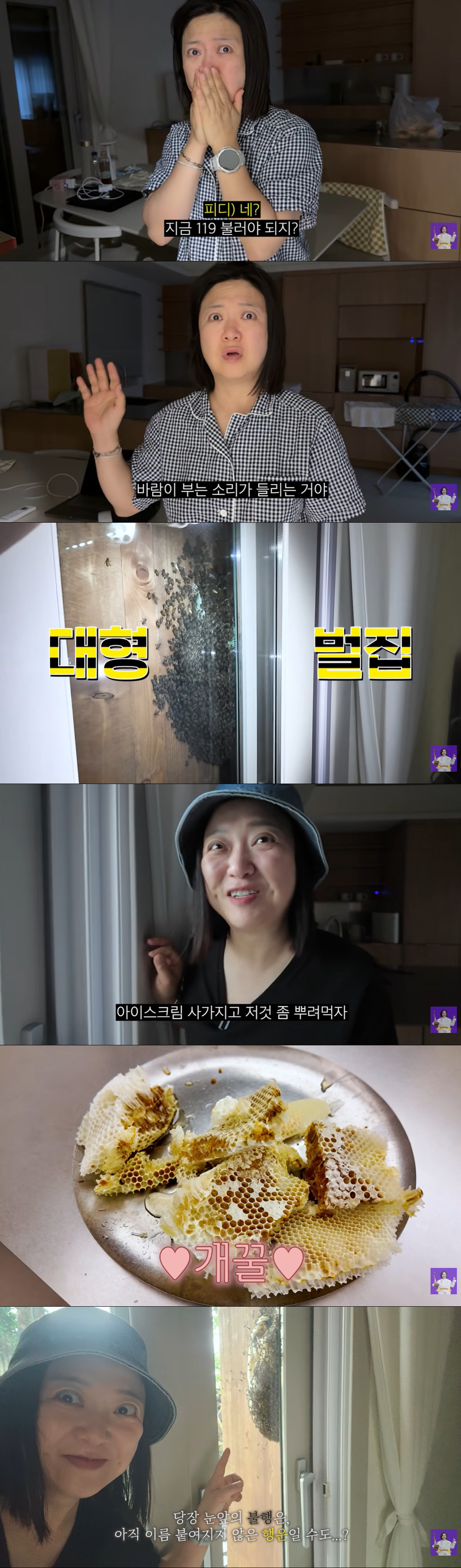 Kim Sook's Jeju home in crisis... emergency call to 119 emergency number after swarm attack, "More than 10,000 bees"