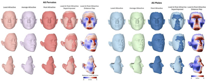 An Attractive 'Face Formula' Has Emerged... For Women, Fuller Lips and a Slimmer Face What About Men?