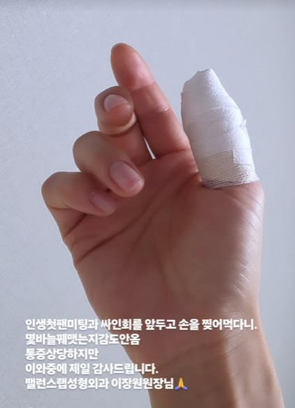"남편은 음주운전 은퇴했는데…" 유하나, 한달만 팬미팅 강행에 '갑론을박'