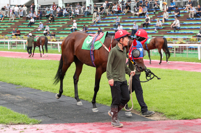 [경마] 서울경마 강자들의 반격…1800m서 자존심 회복 노린다
