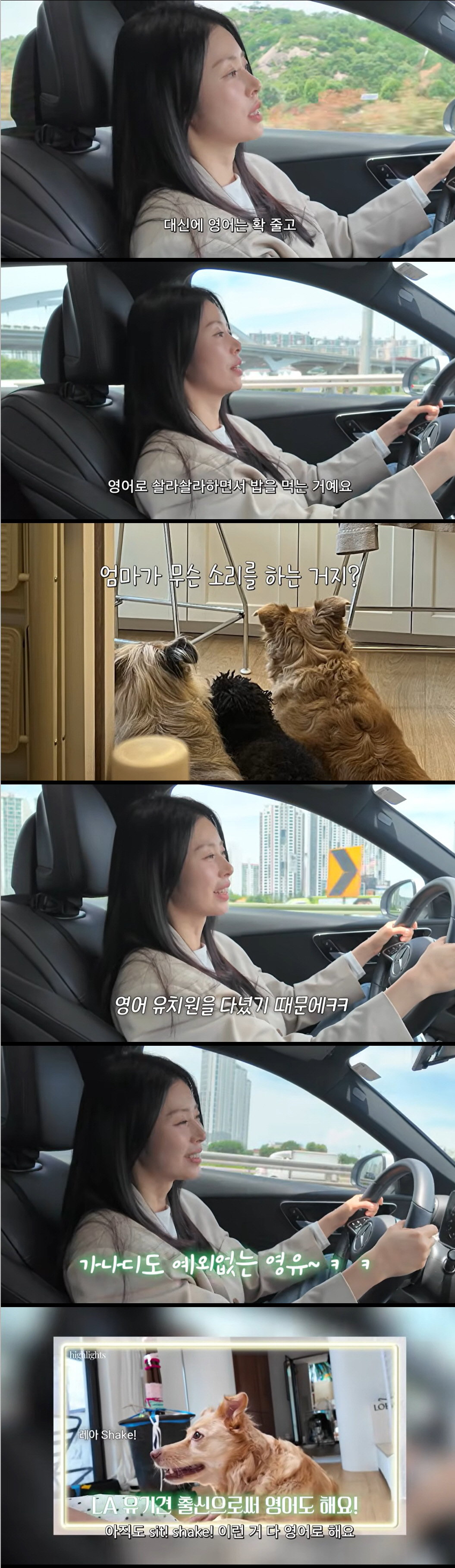 Seo Dong-ju, the class that even sends pet dogs to English kindergarten: "Raising them while teaching them in English"