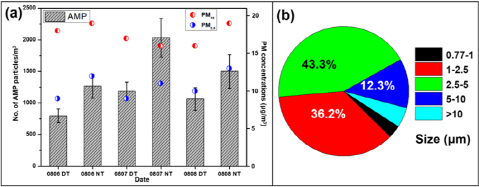 Changes in the daytime and nighttime particle concentration and size distribution of airborne microplastics: (a) particle number concentration by