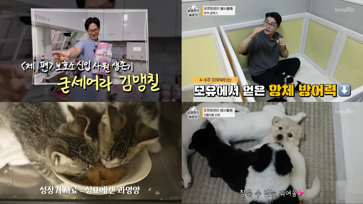 ◇로얄캐닌이 김명철·설채현 수의사와 함께 선보인 유튜브 콘텐츠 이미지. 이미지 제공=로얄캐닌